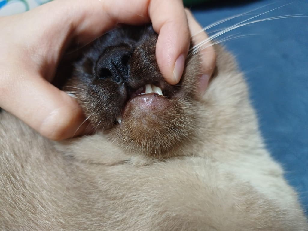 2번 째 사진