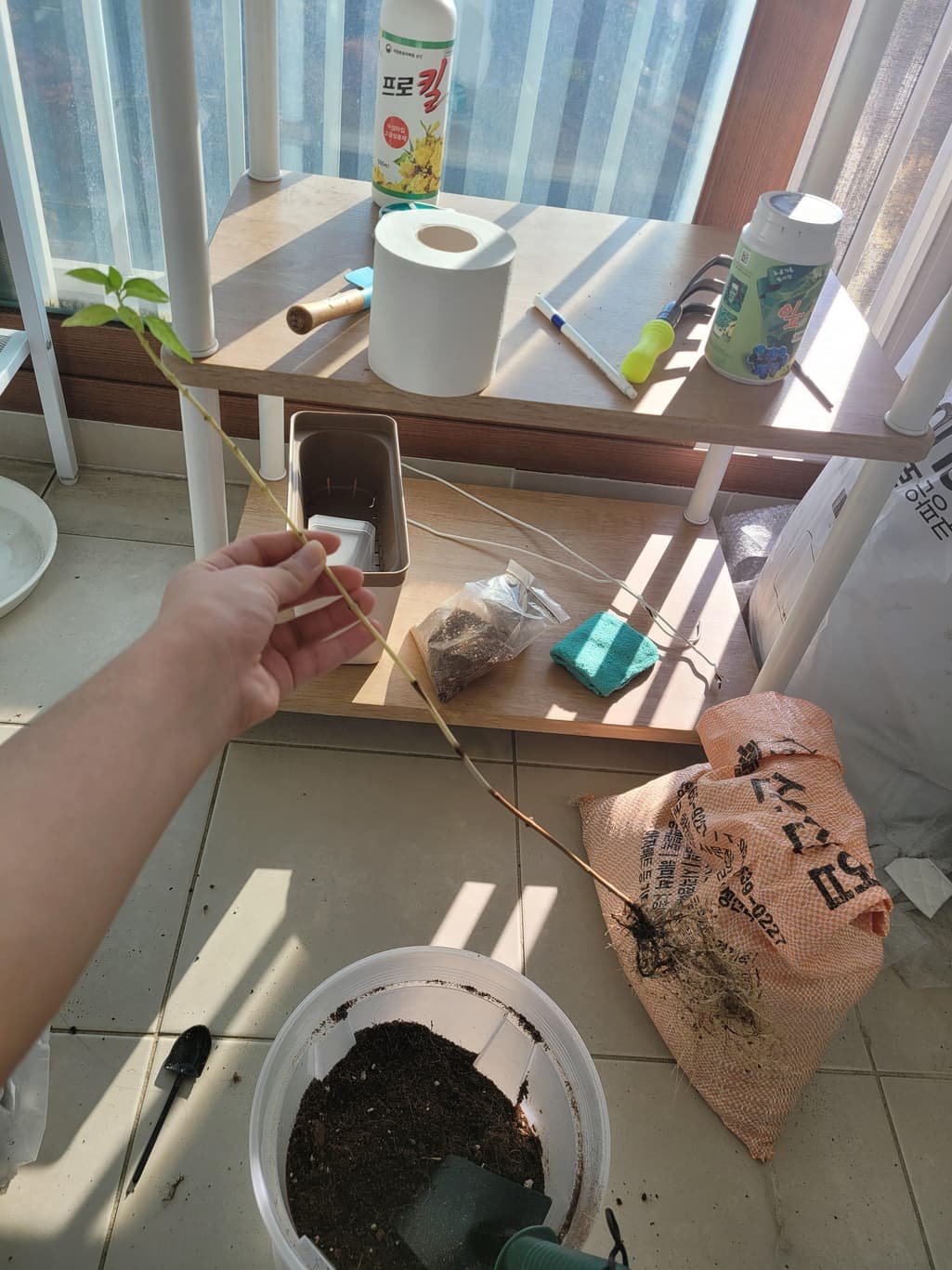 1번 째 사진