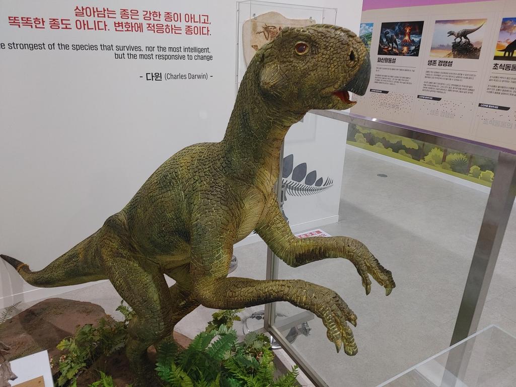 2번 째 사진