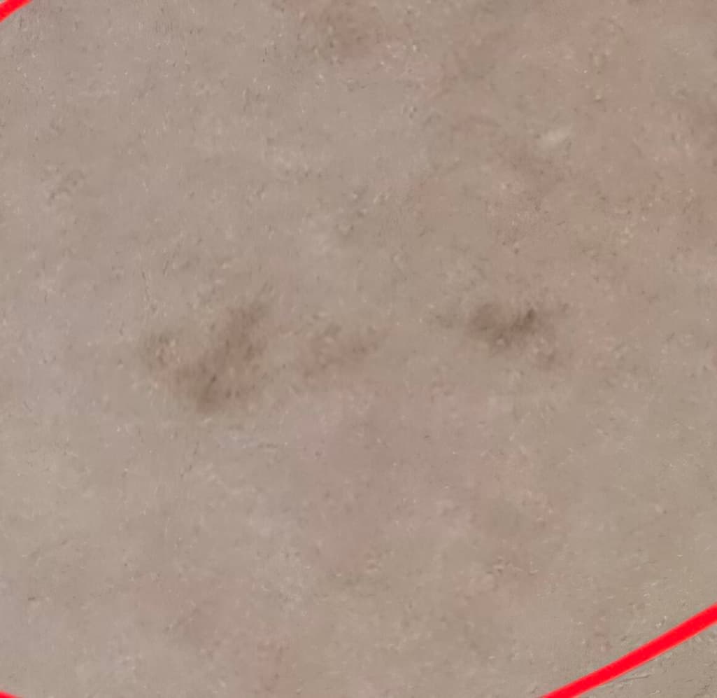 2번 째 사진