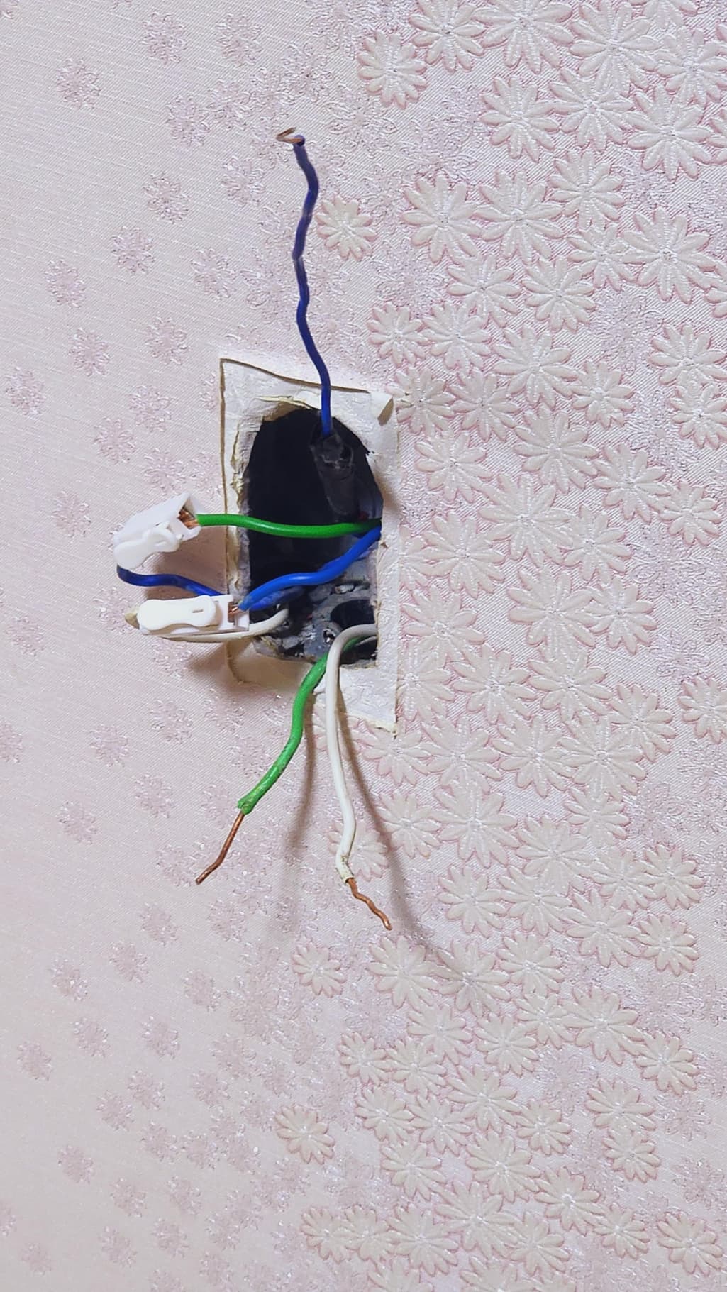2번 째 사진
