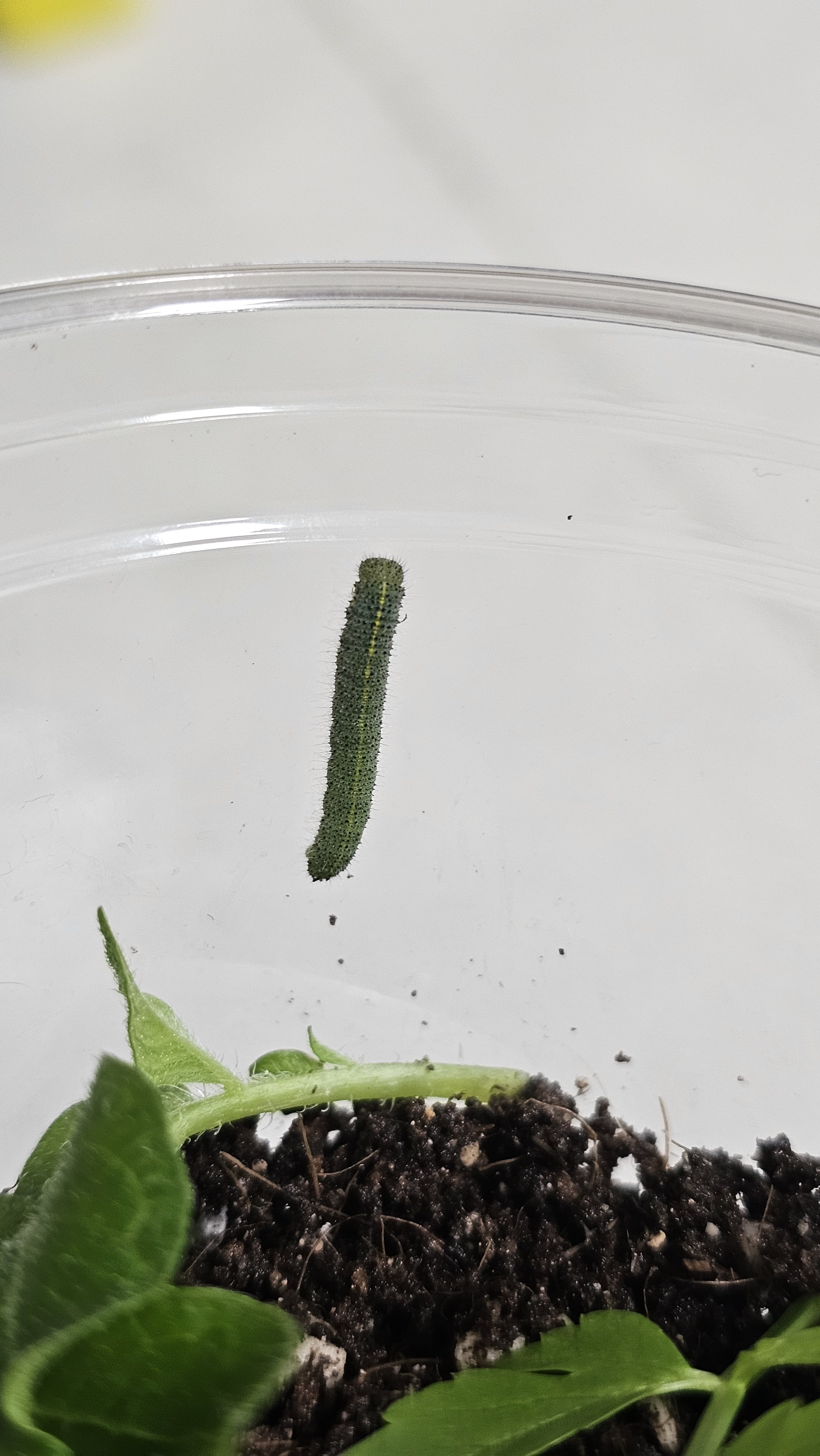 2번 째 사진