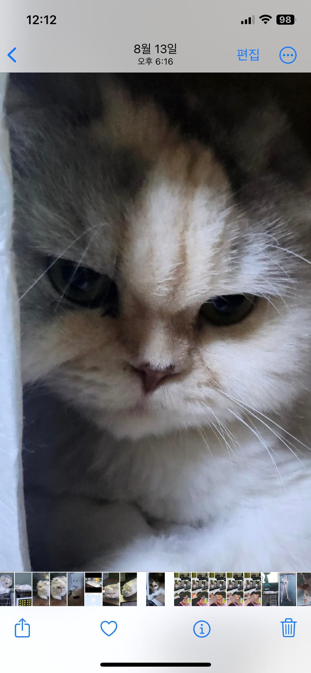 5번 째 사진