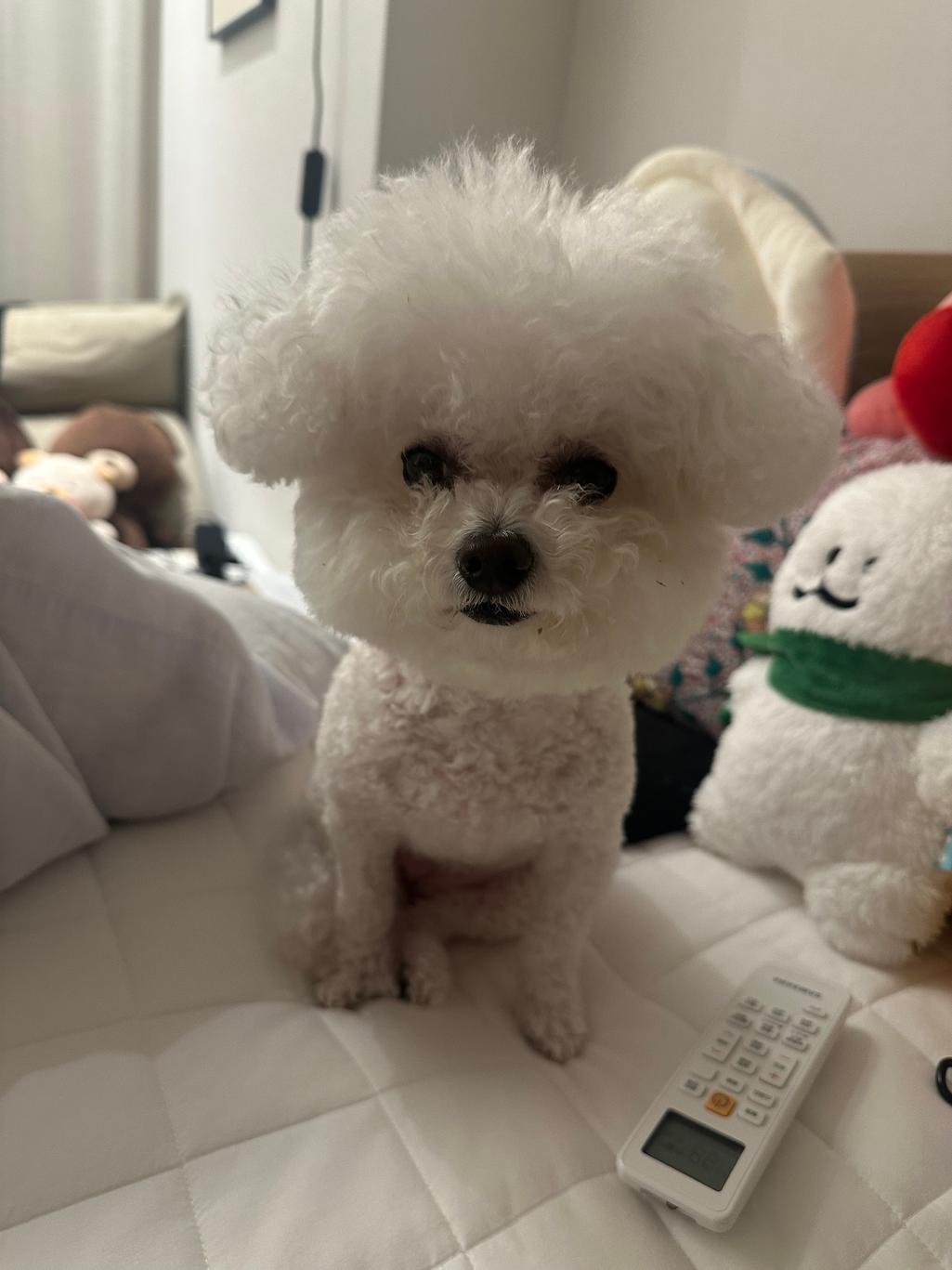 3번 째 사진