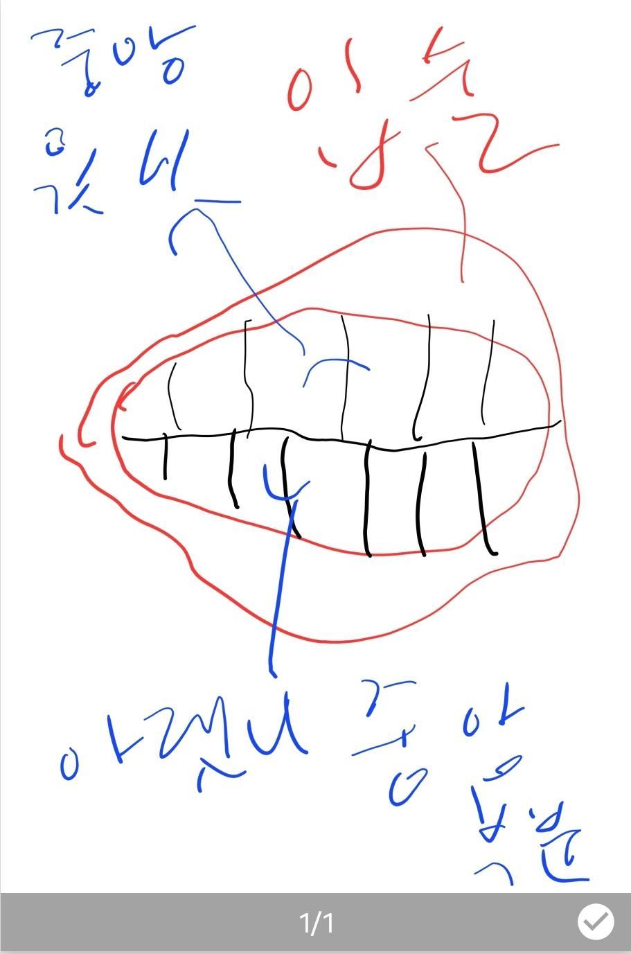 1번 째 사진