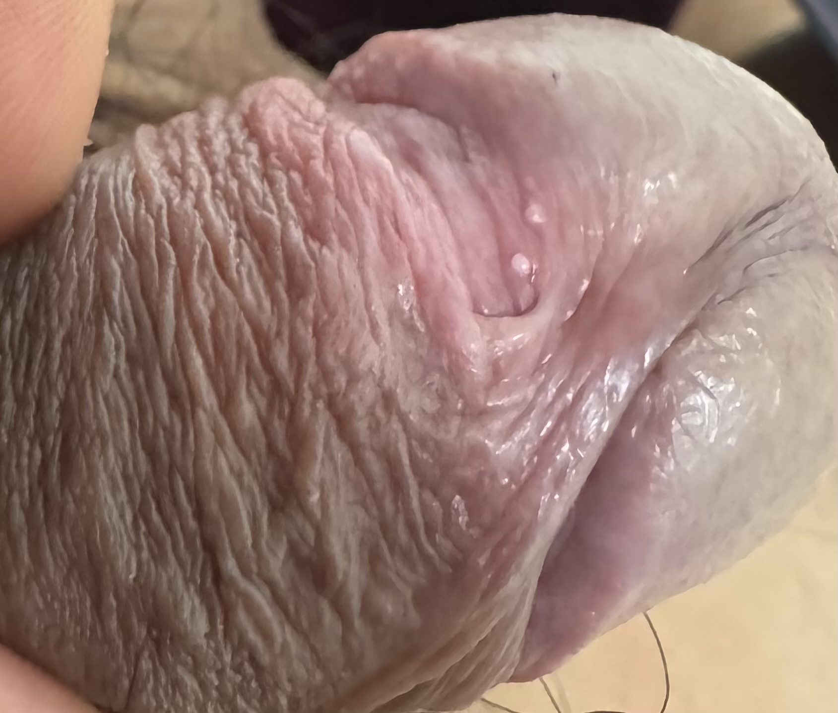 2번 째 사진