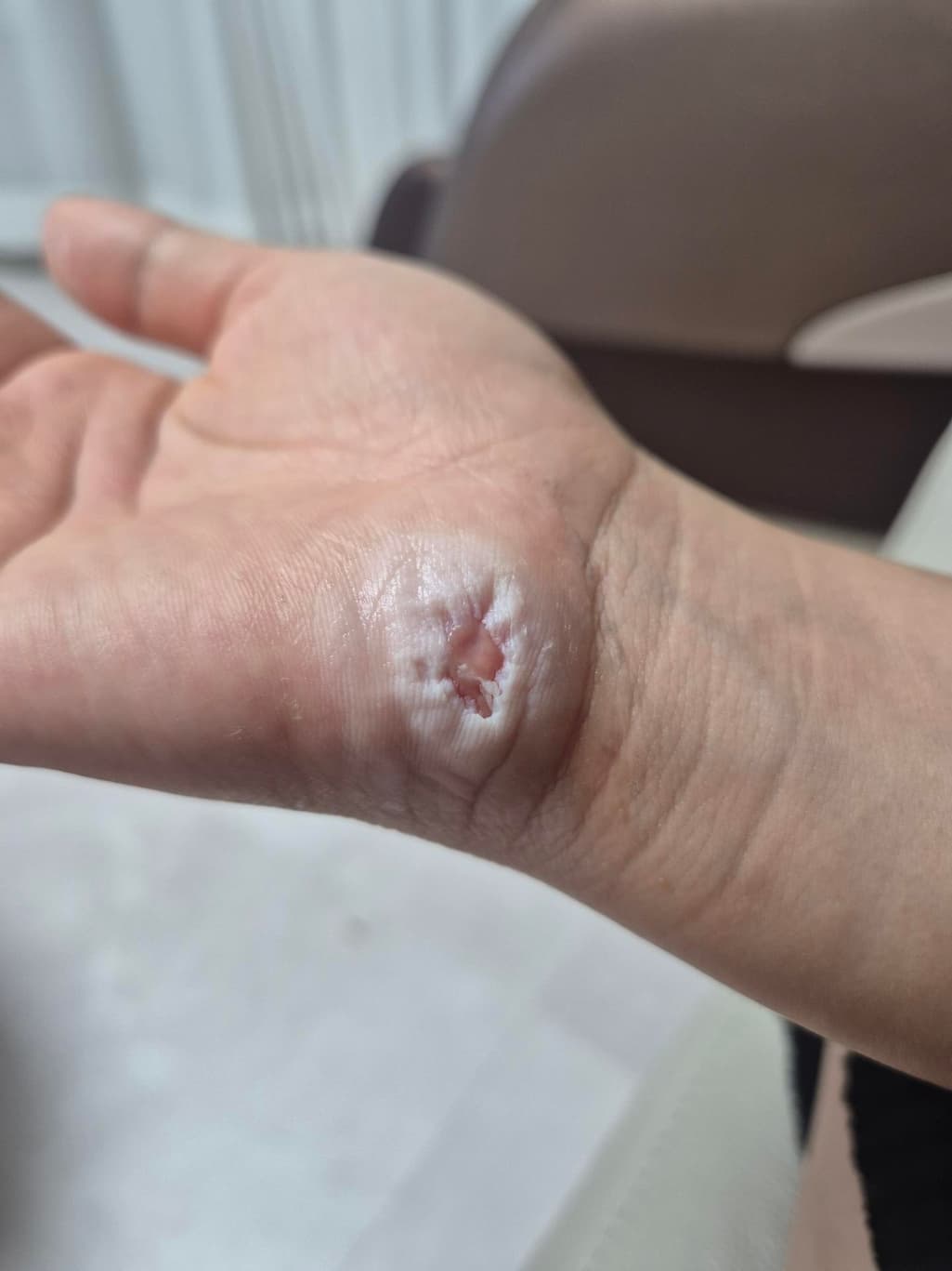2번 째 사진