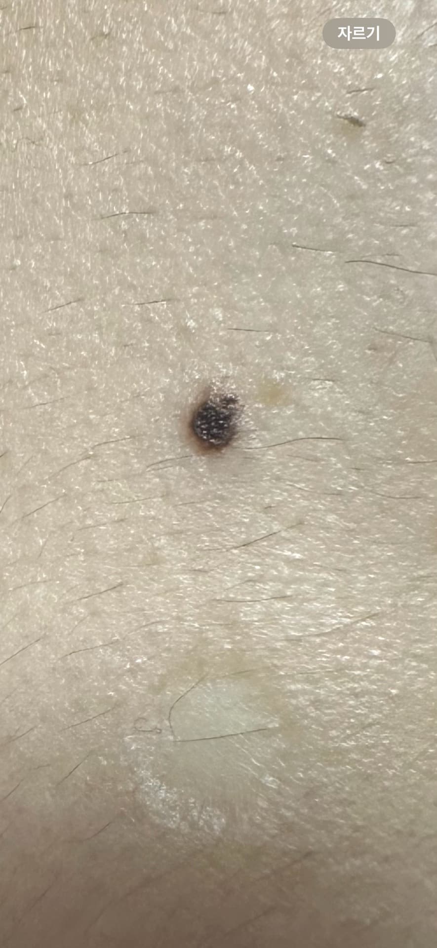 2번 째 사진