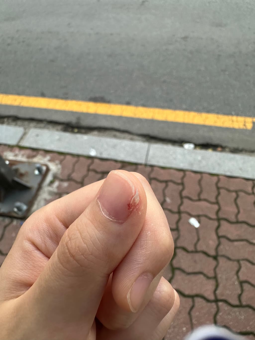 1번 째 사진
