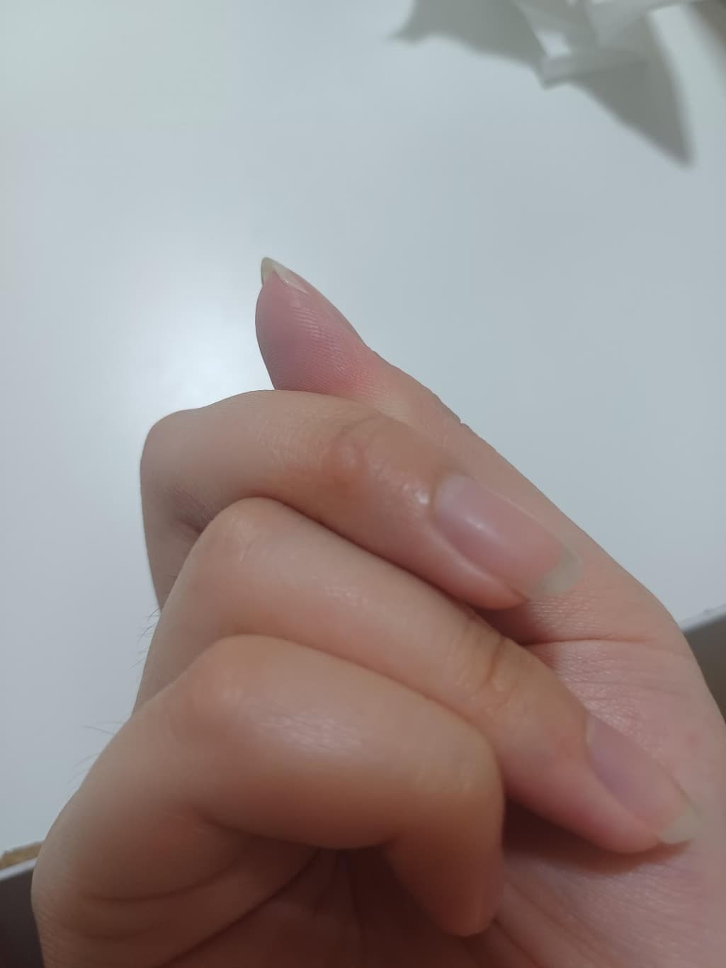2번 째 사진