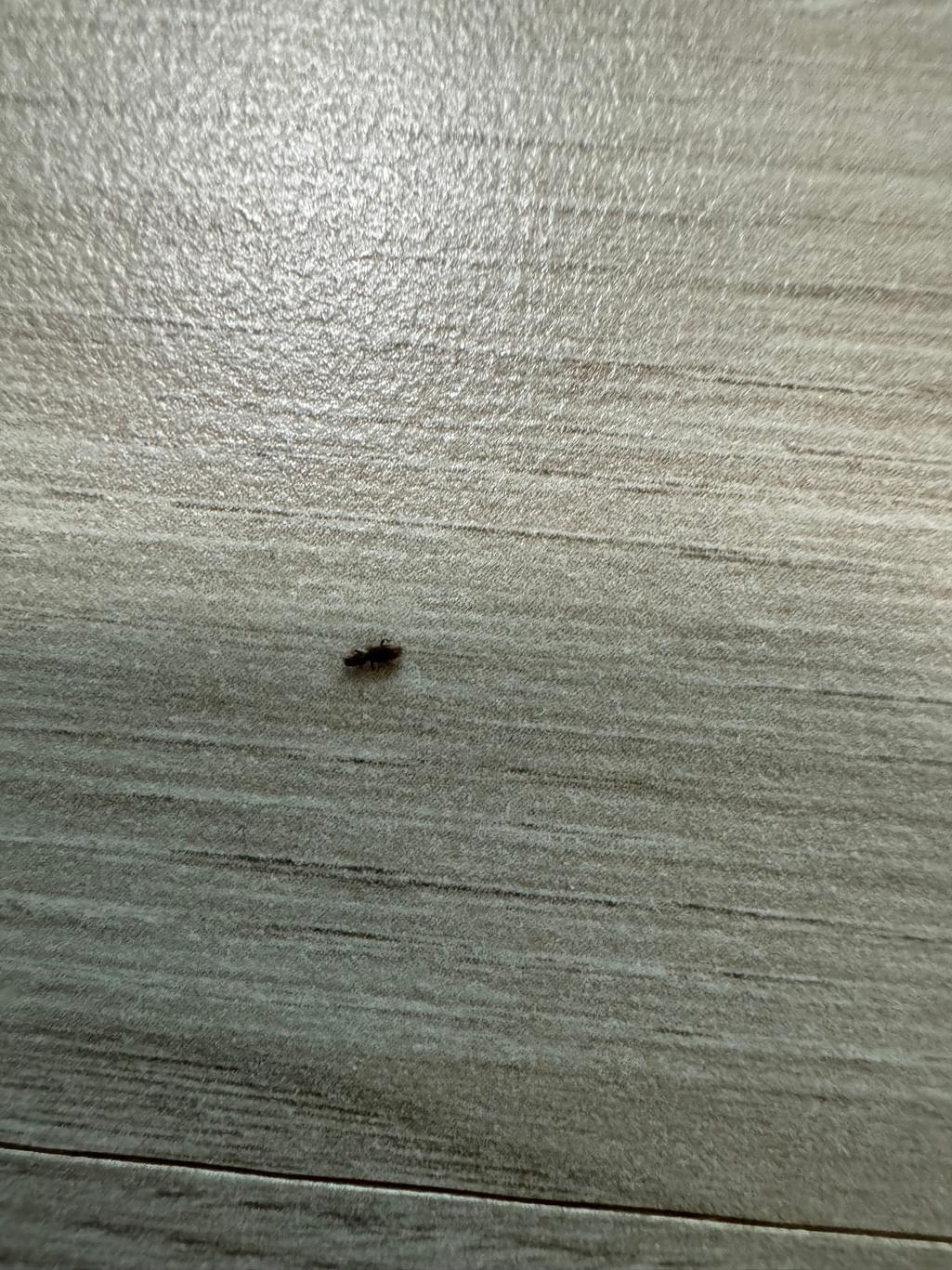 2번 째 사진