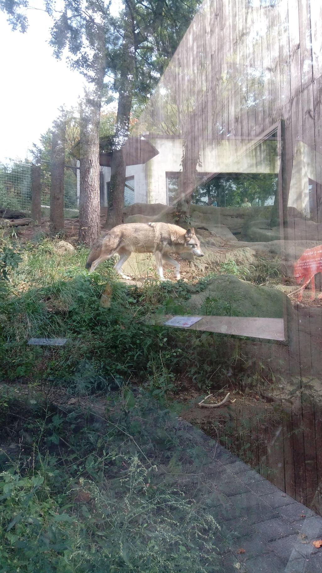 3번 째 사진