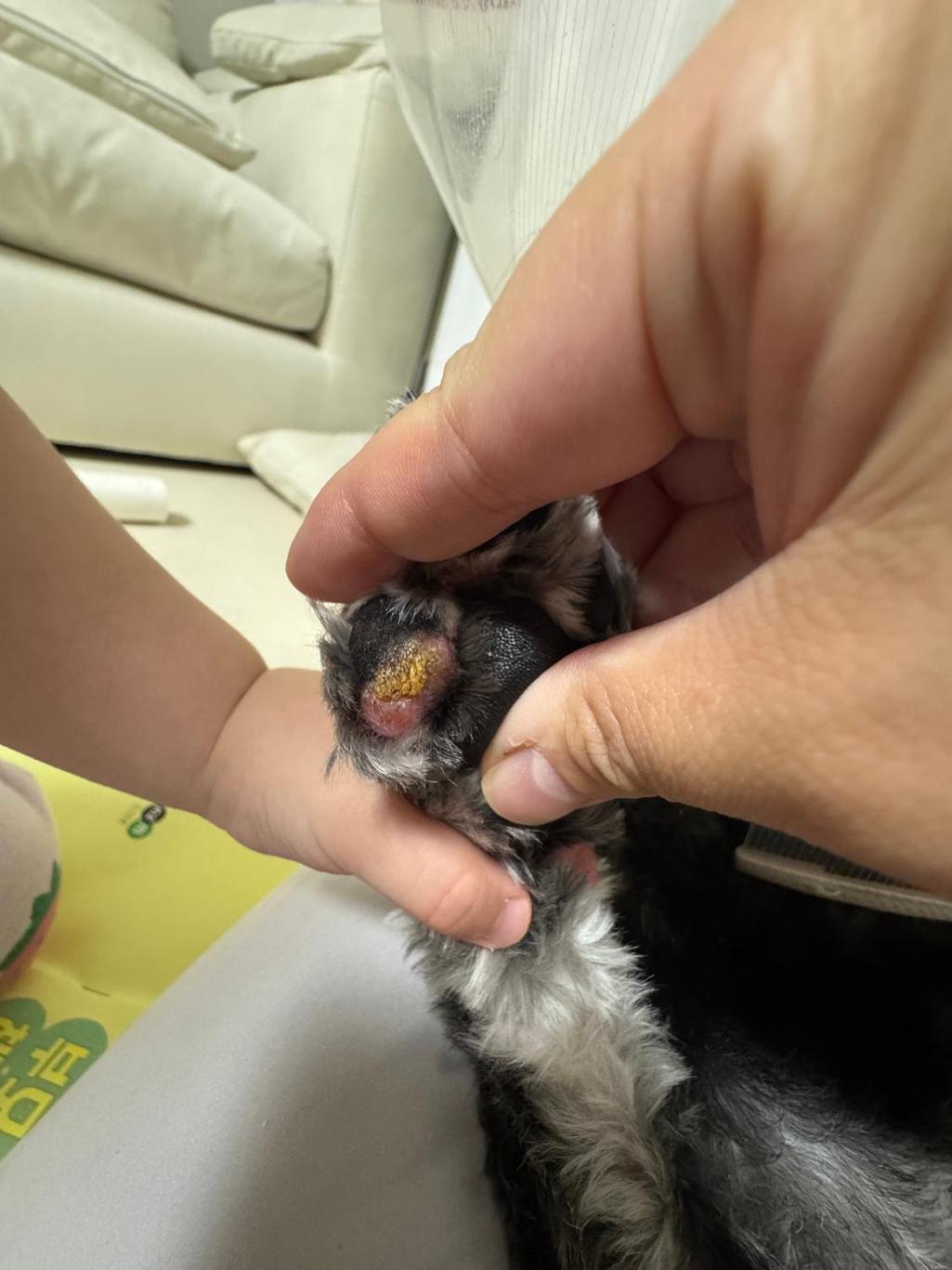 1번 째 사진