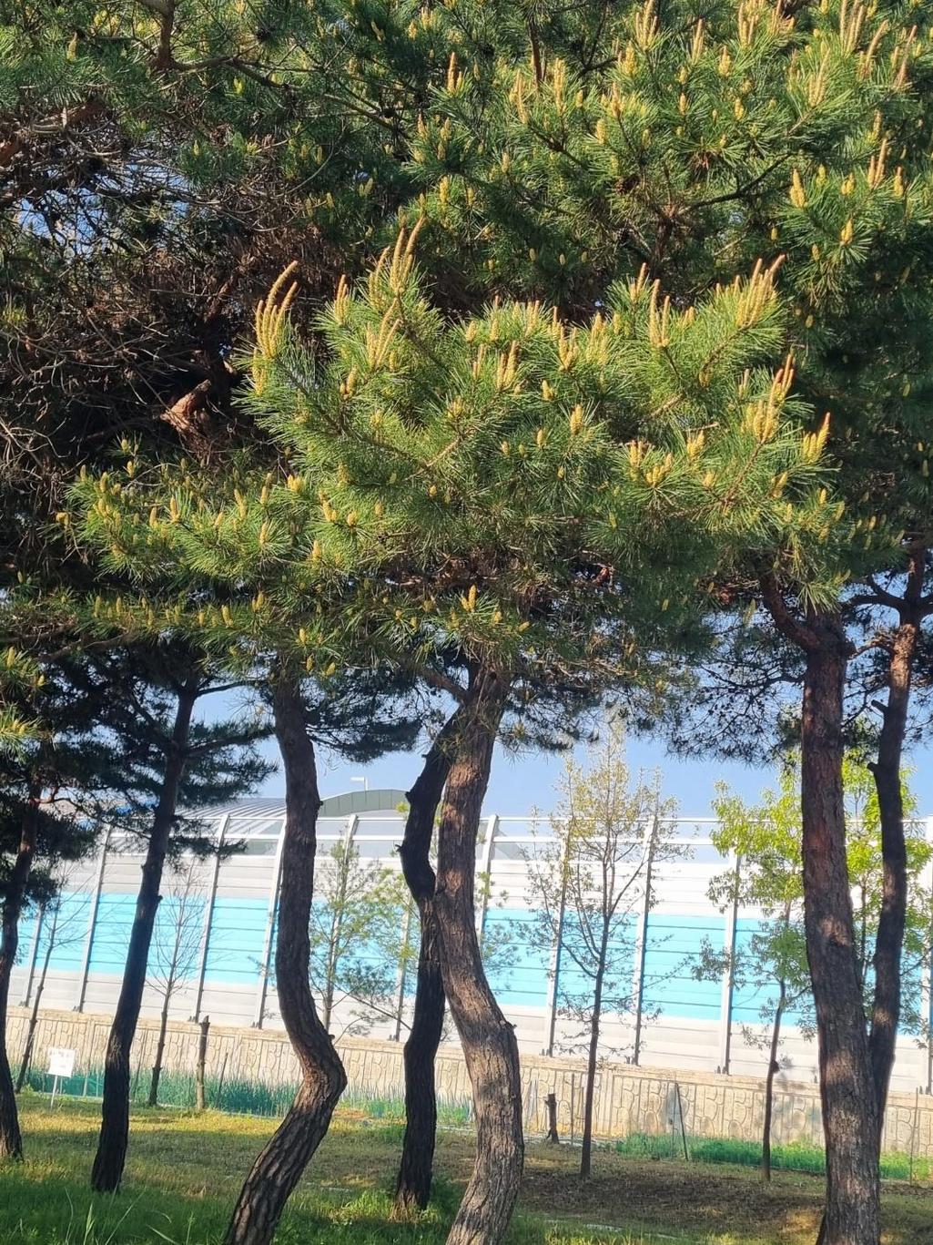 1번 째 사진