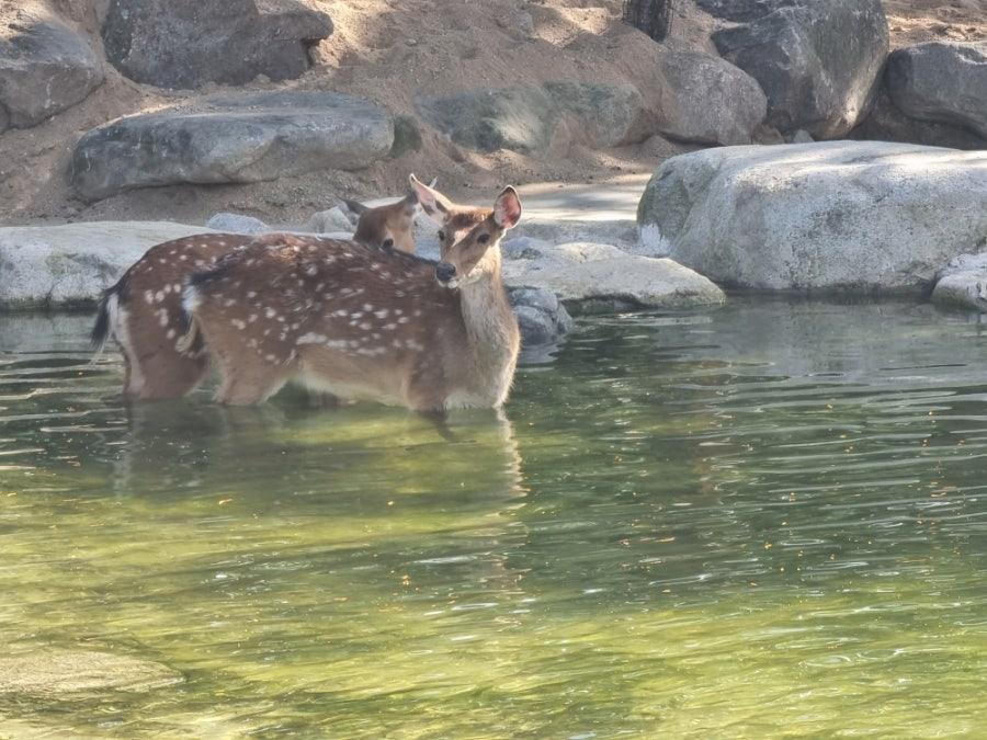 2번 째 사진
