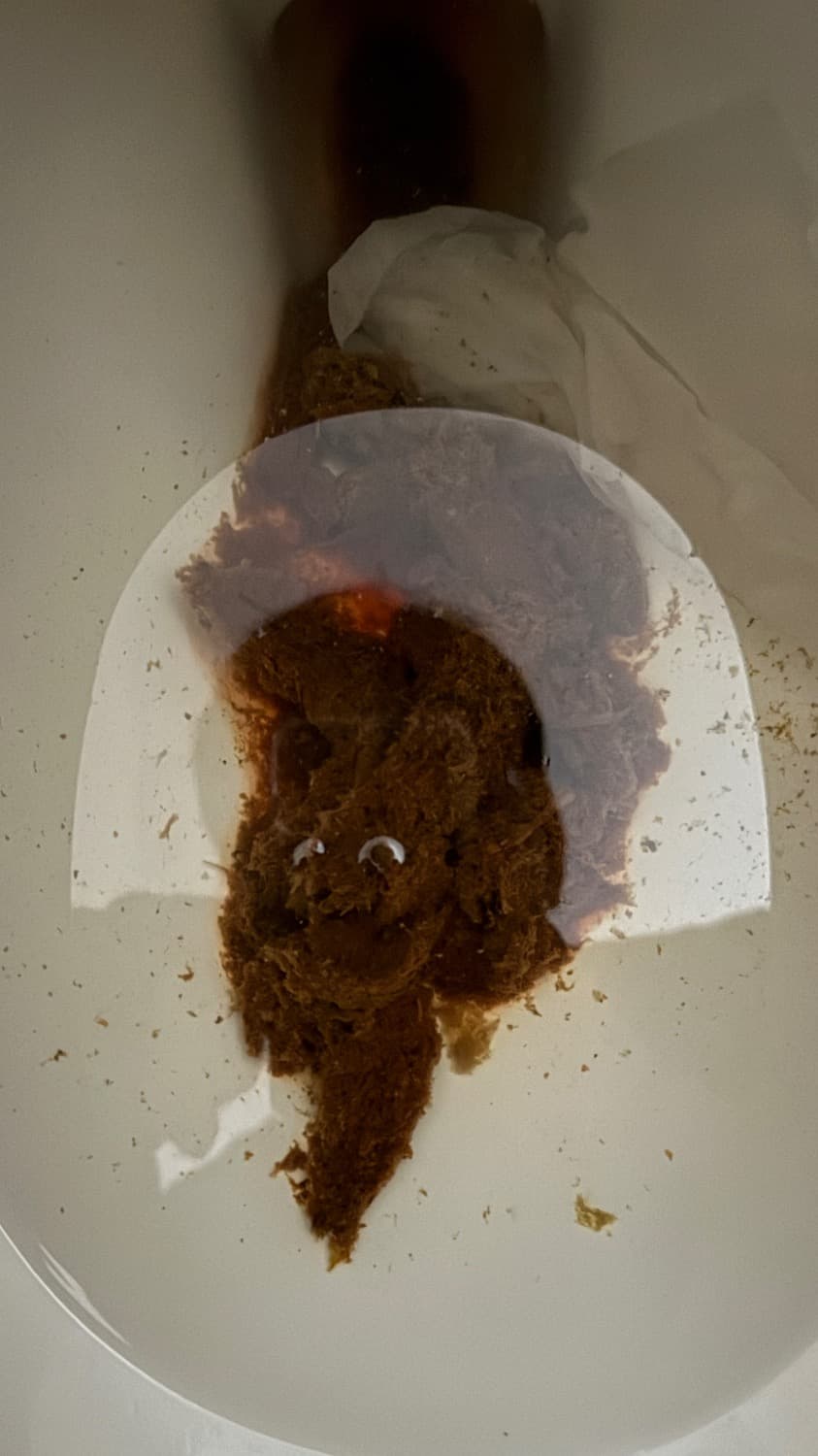 2번 째 사진