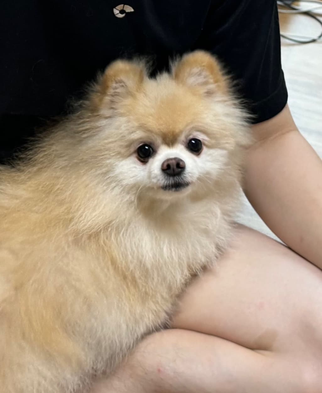 2번 째 사진
