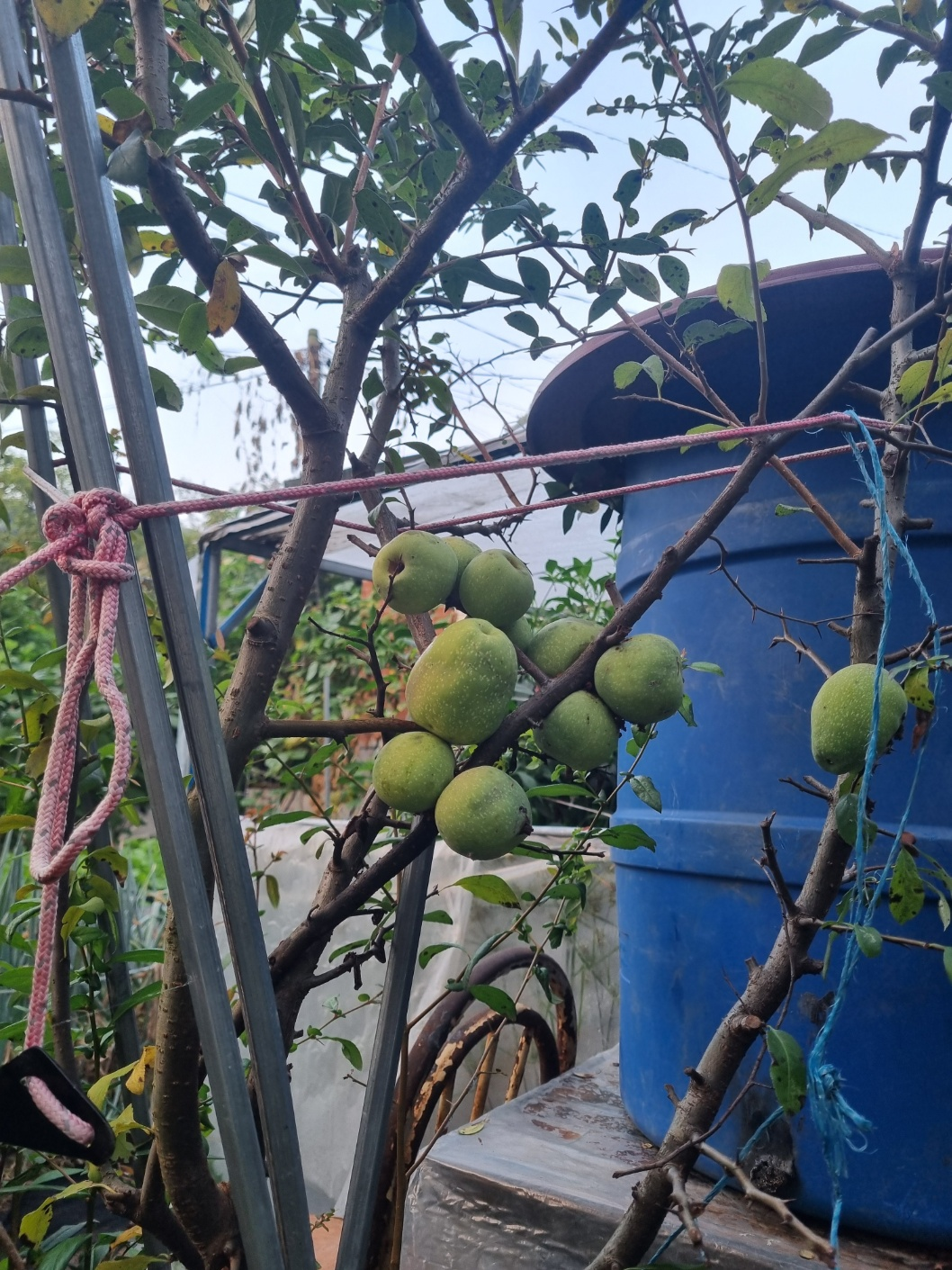 1번 째 사진