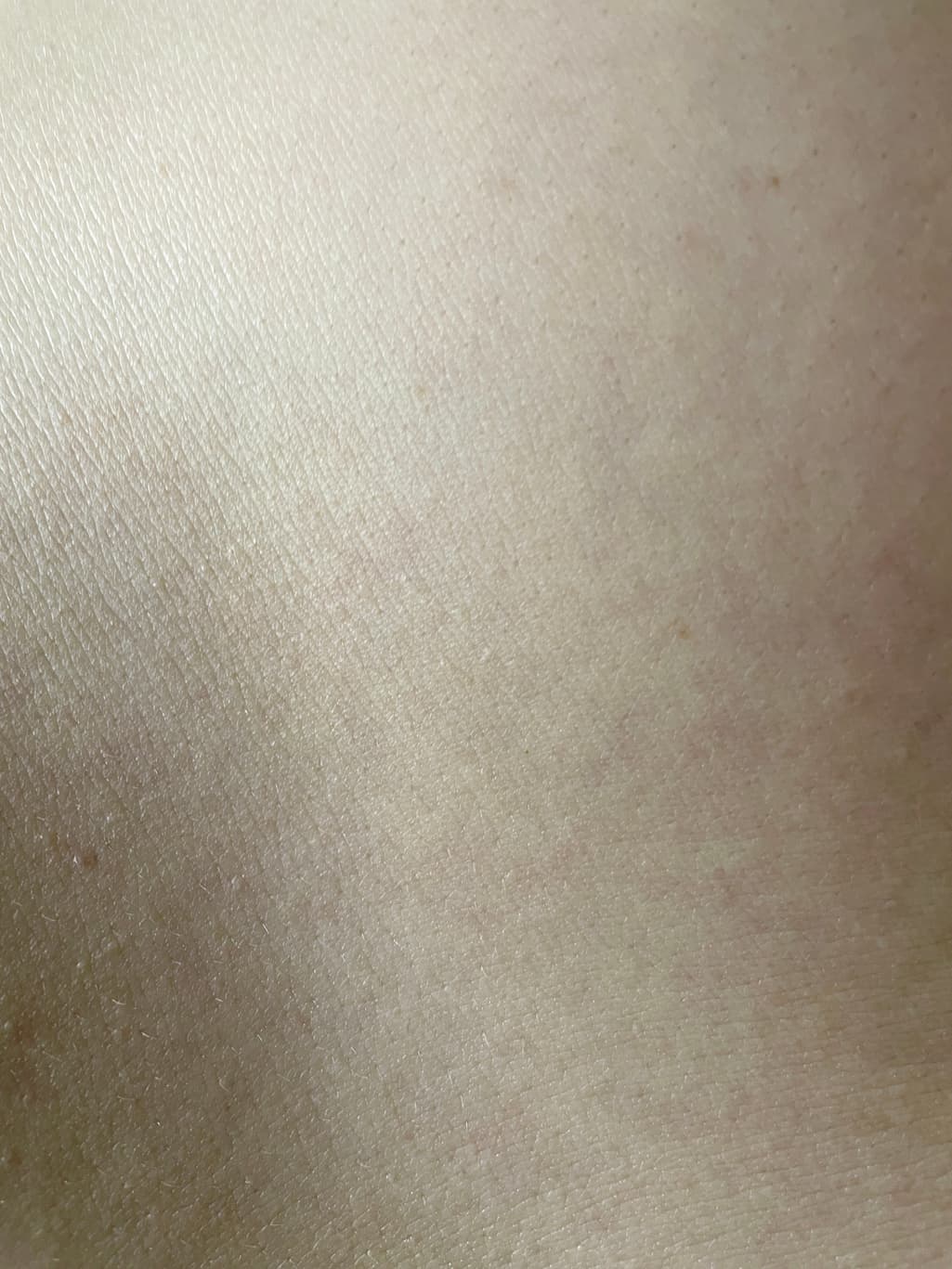 3번 째 사진