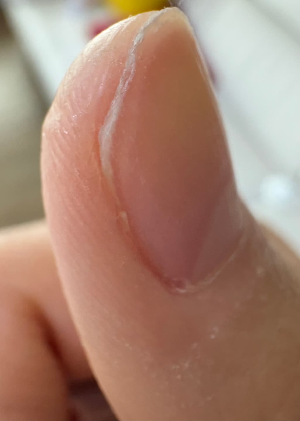 8번 째 사진