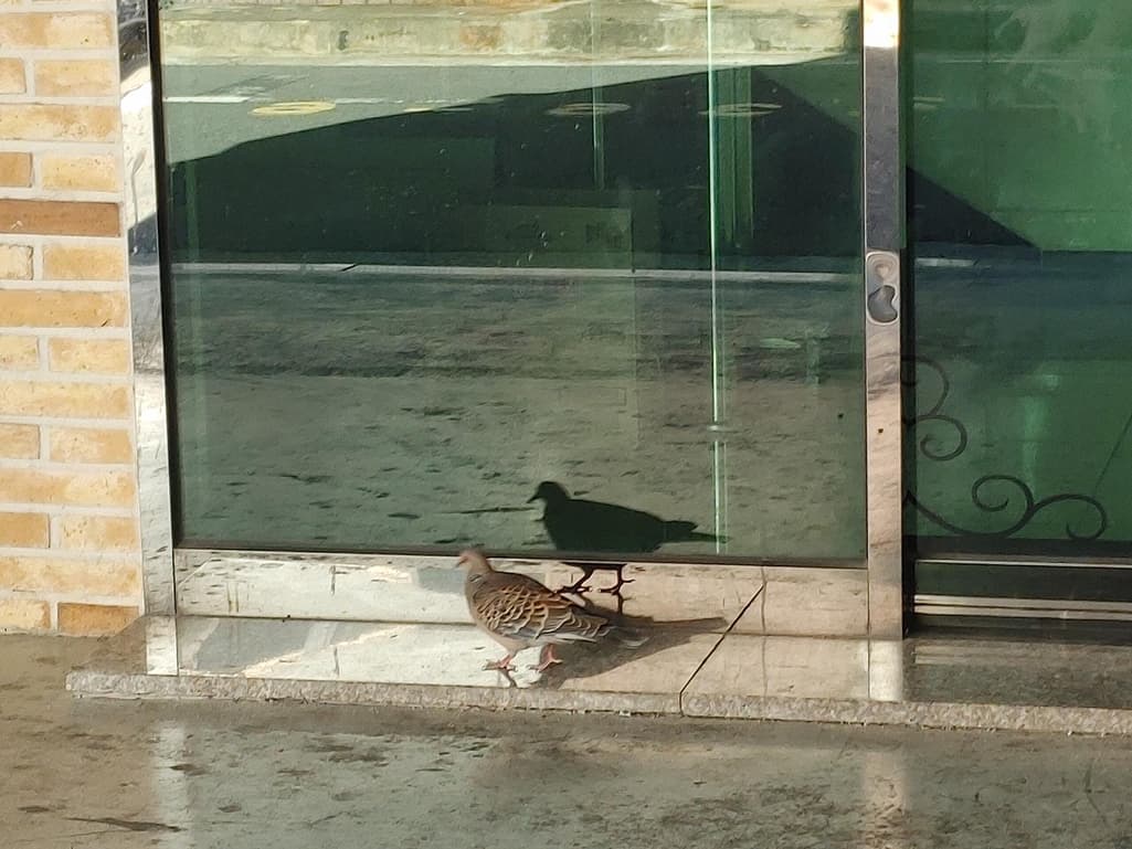 2번 째 사진