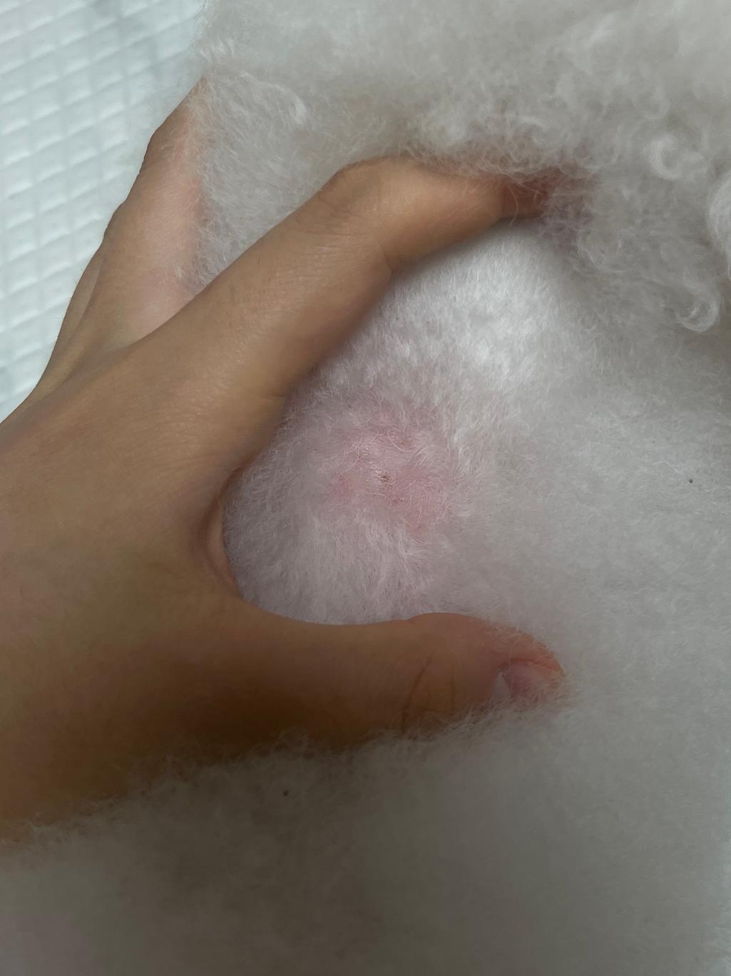 2번 째 사진
