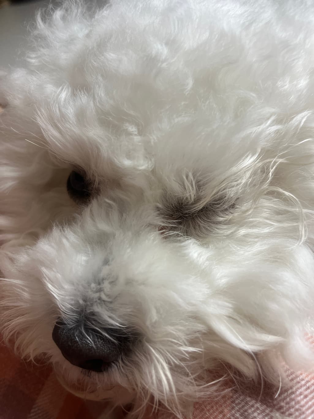 3번 째 사진