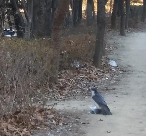 3번 째 사진