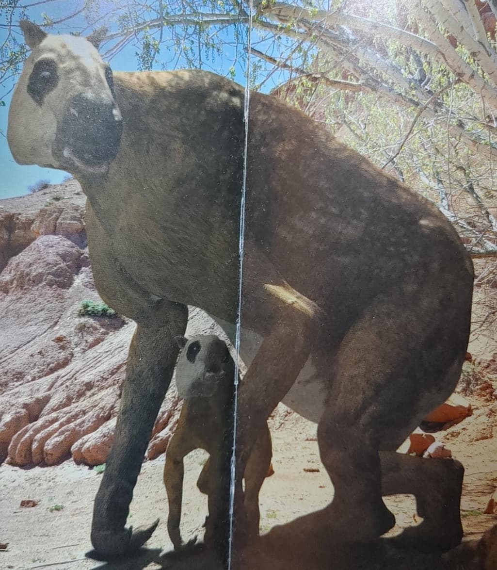 3번 째 사진