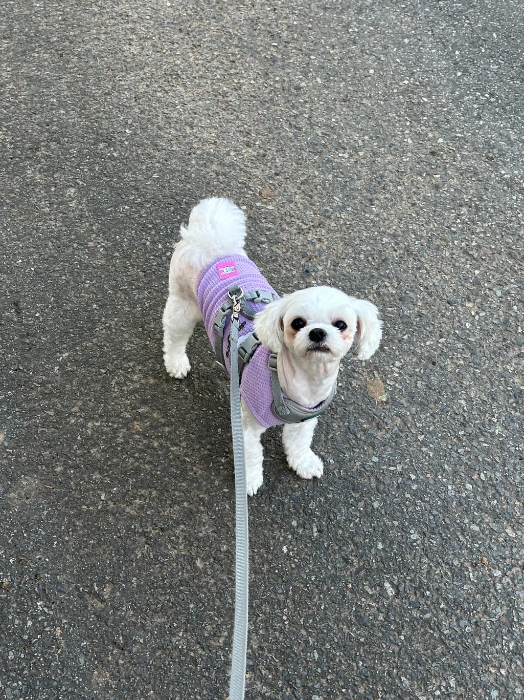 1번 째 사진