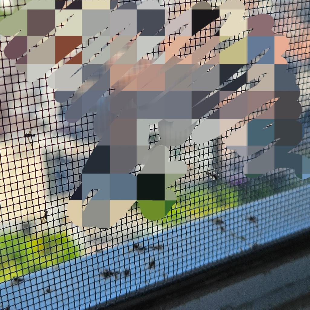 4번 째 사진