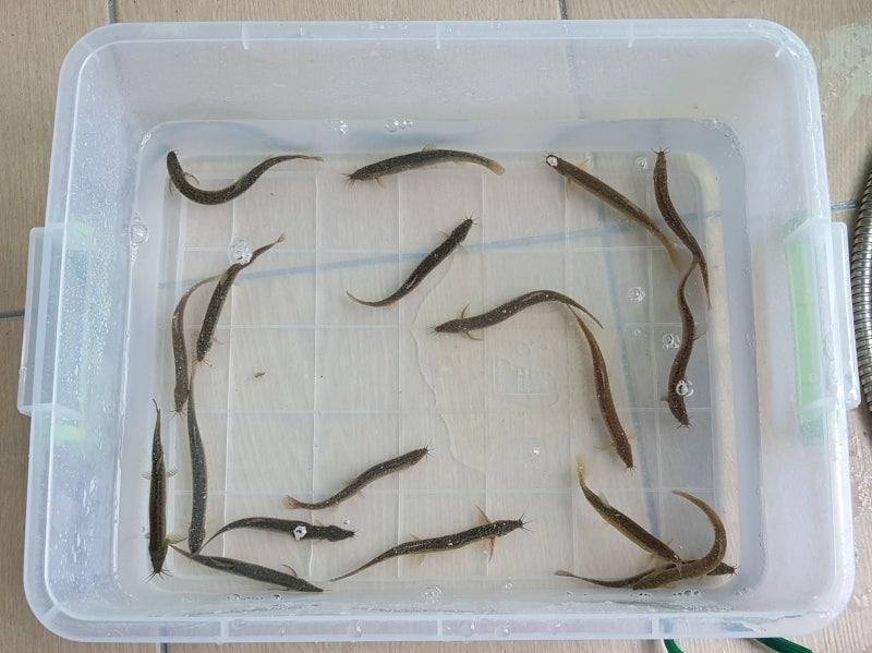3번 째 사진