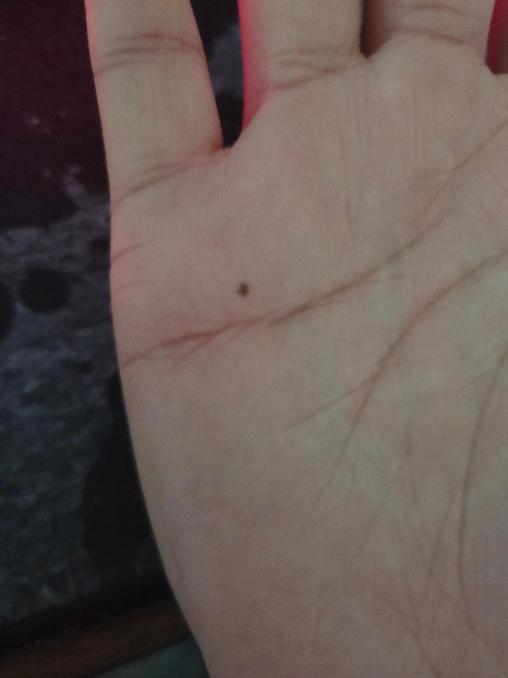 2번 째 사진