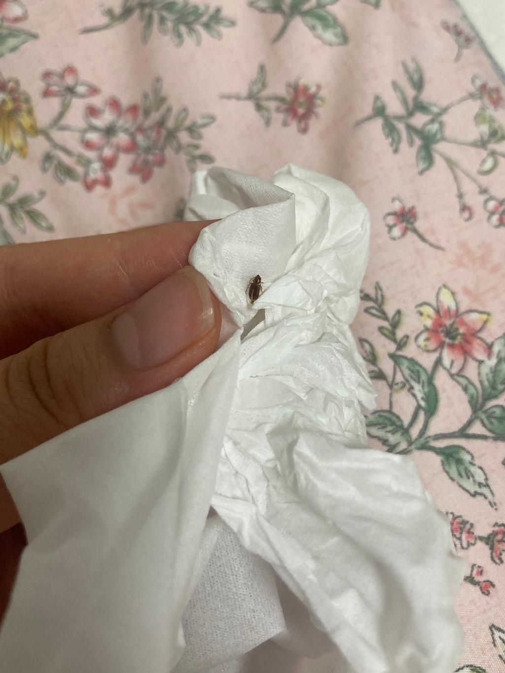 2번 째 사진