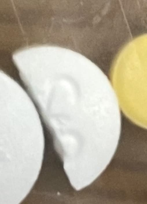 2번 째 사진