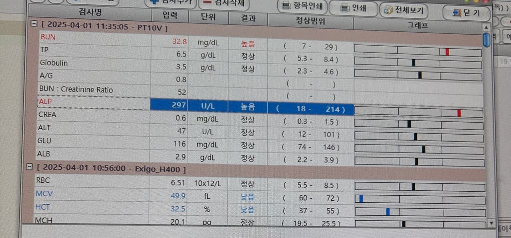 2번 째 사진