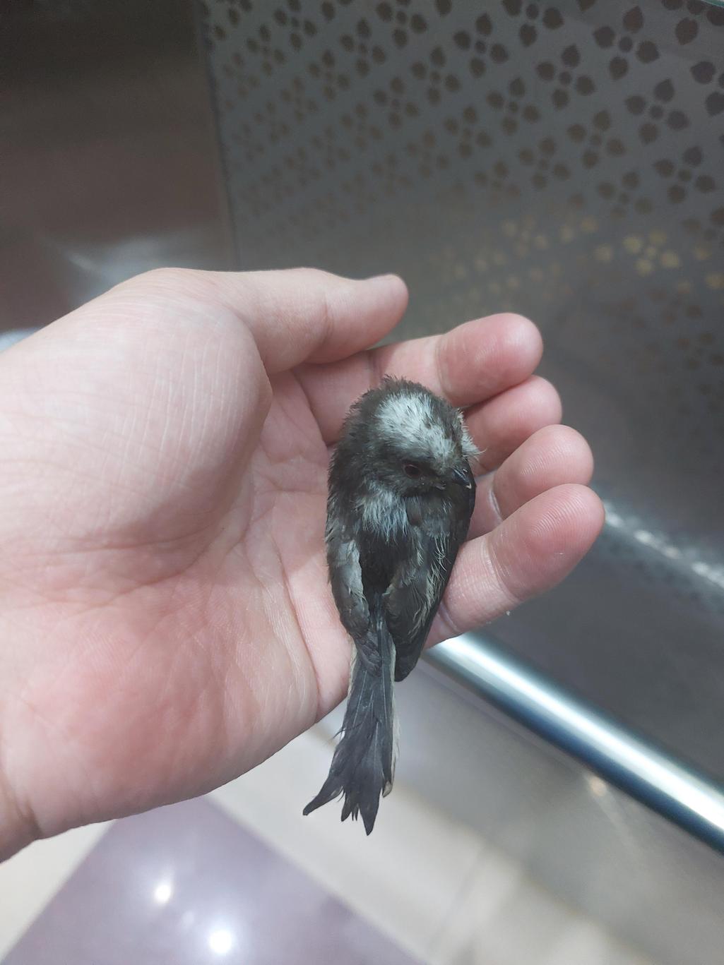 2번 째 사진