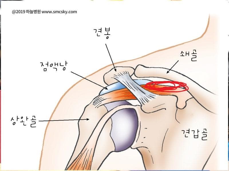 2번 째 사진