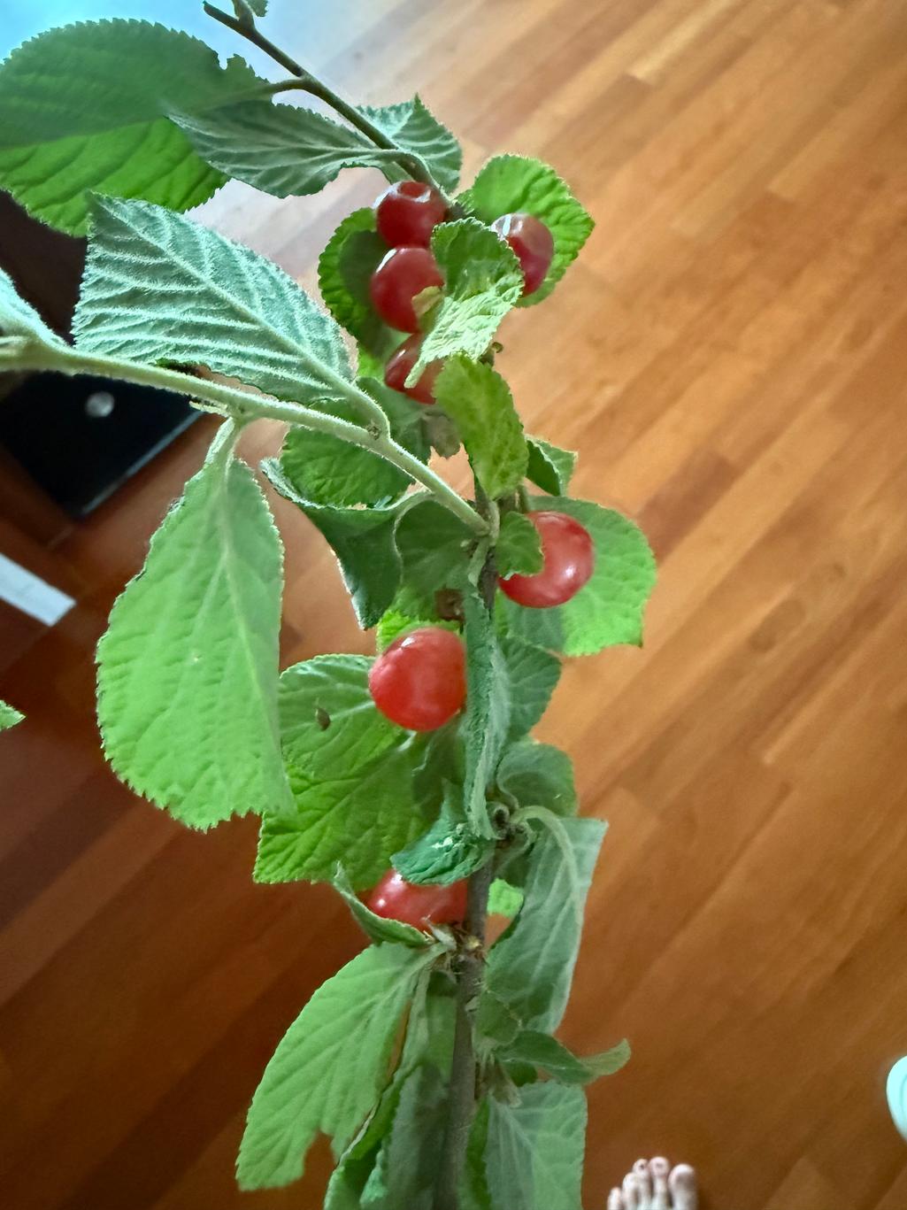 1번 째 사진