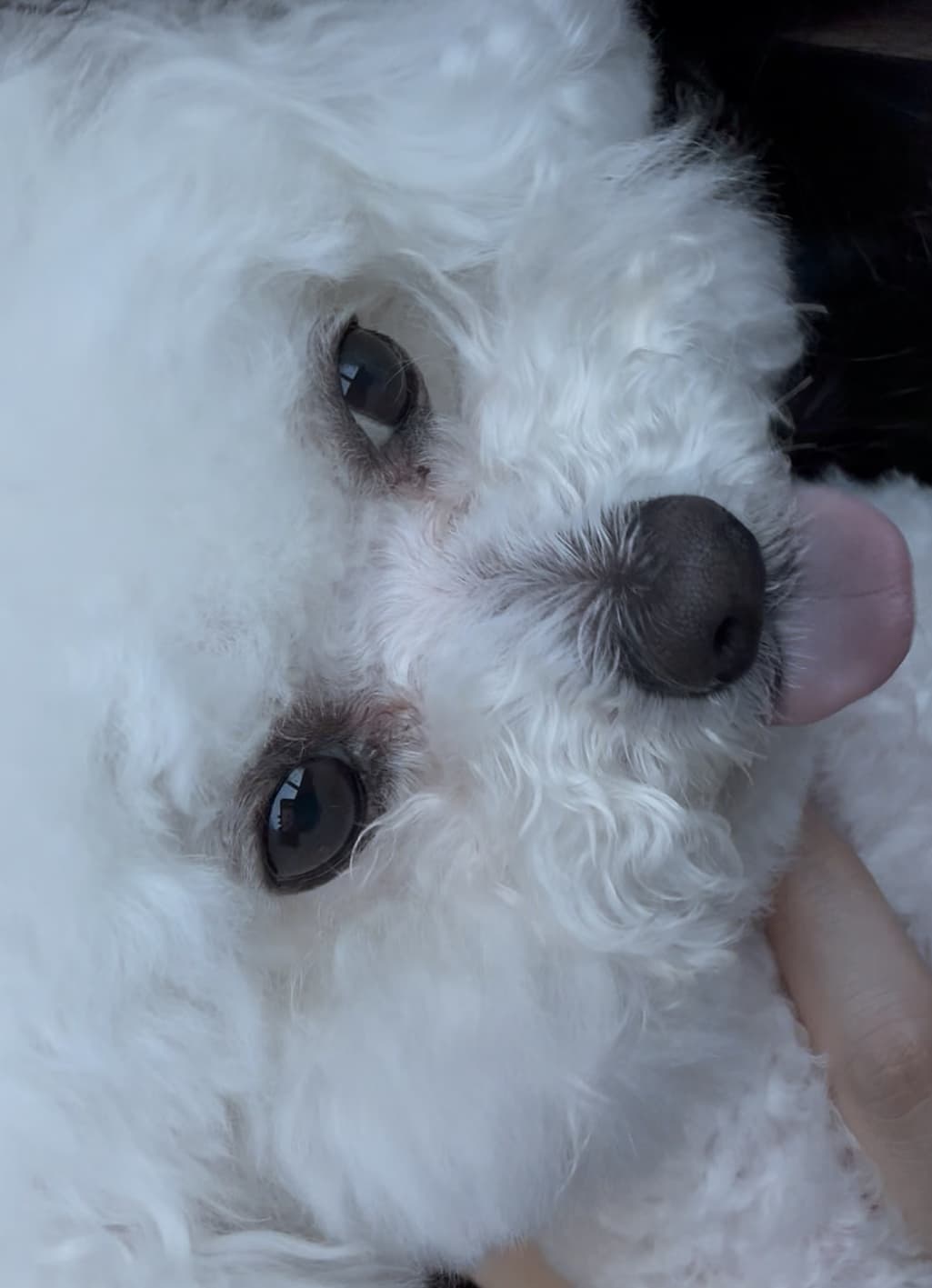 2번 째 사진
