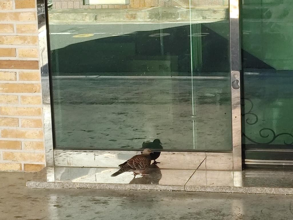 3번 째 사진