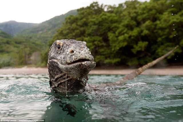 1번 째 사진