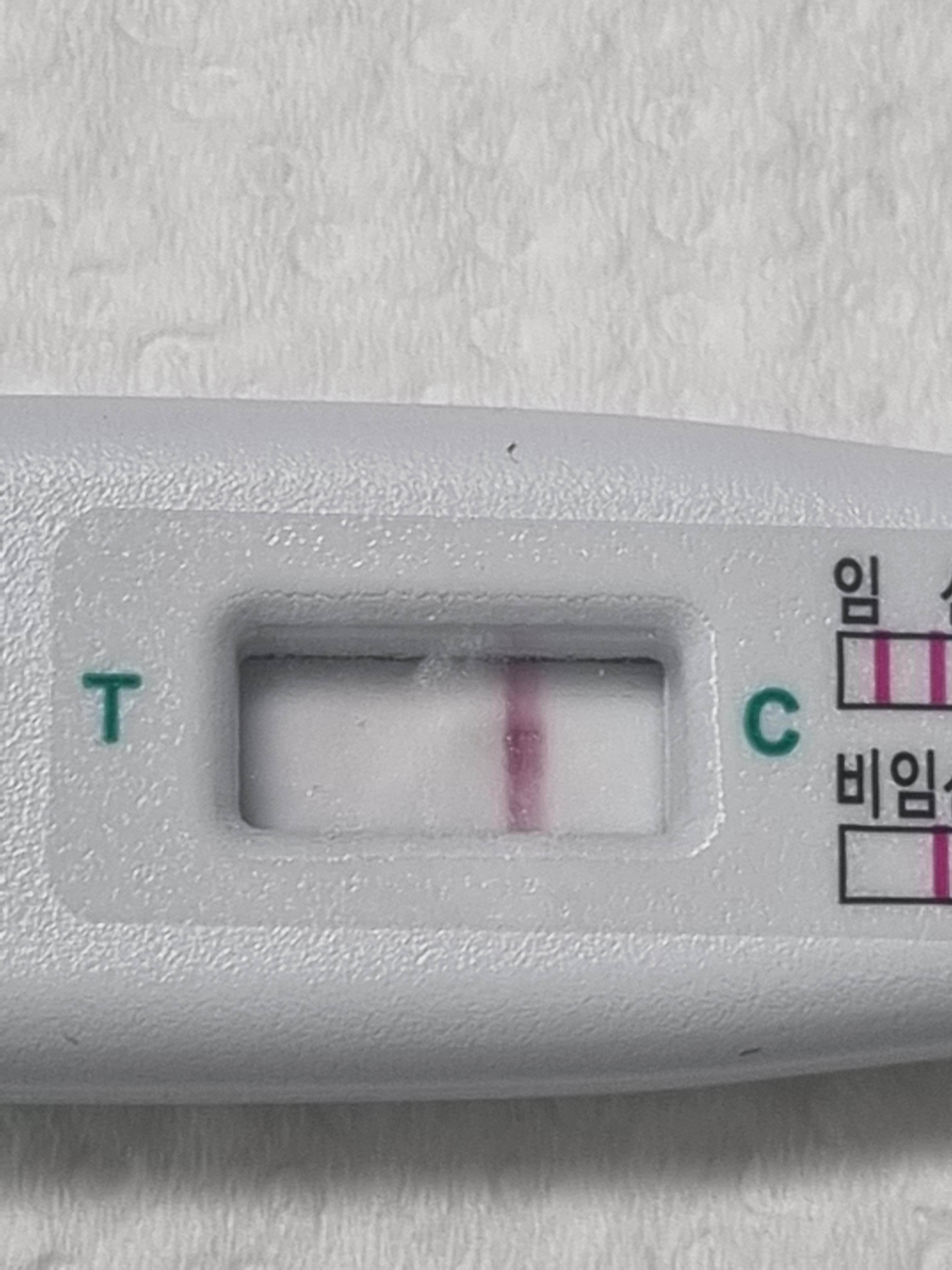 2번 째 사진