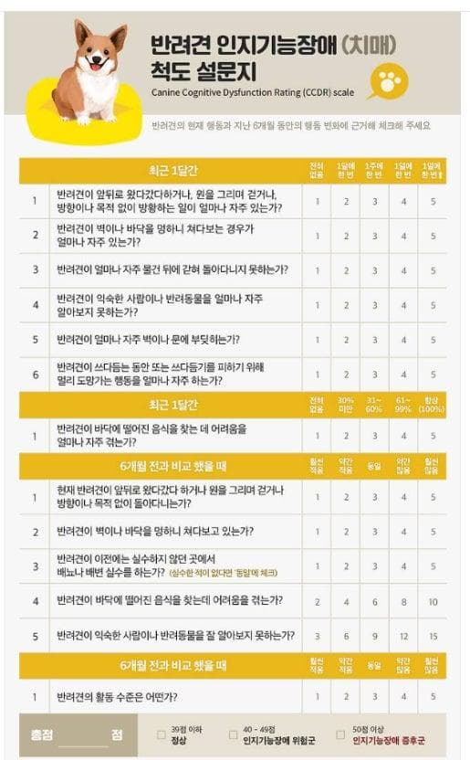 2번 째 사진