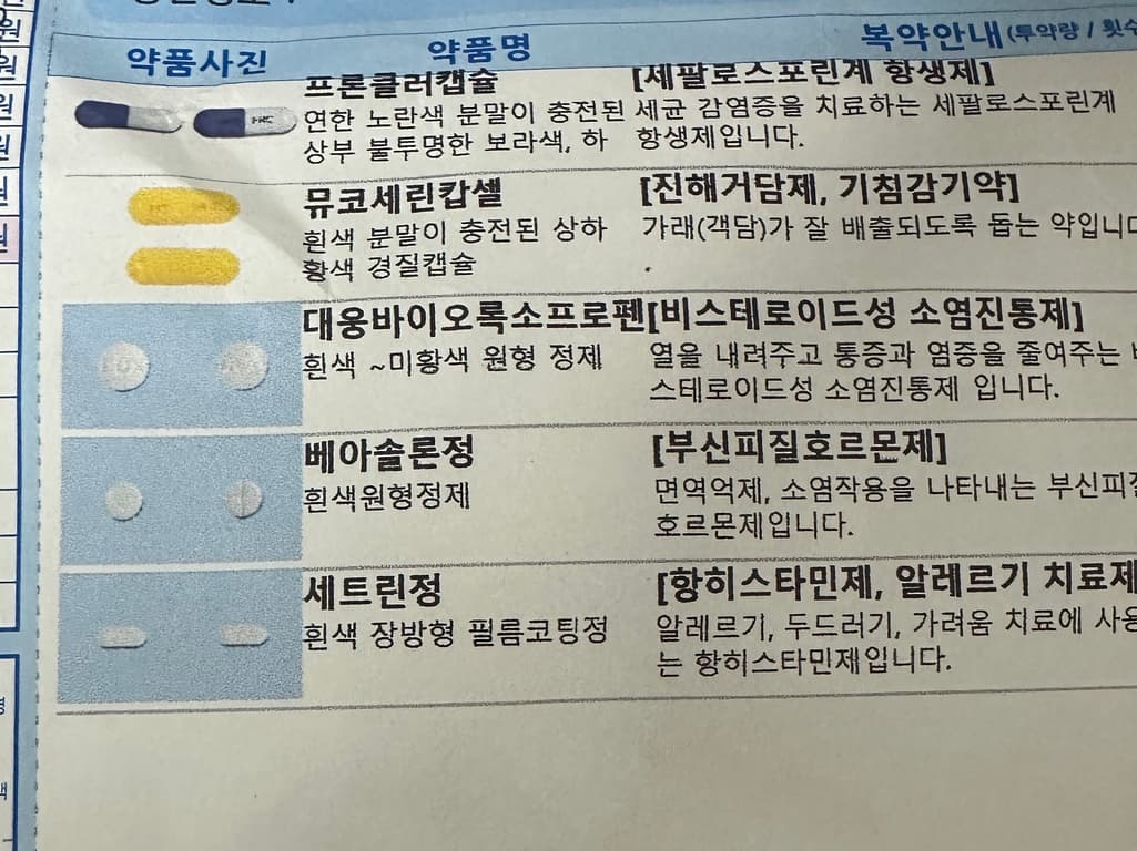2번 째 사진