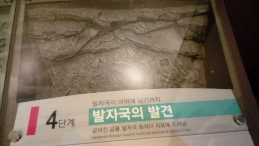 2번 째 사진