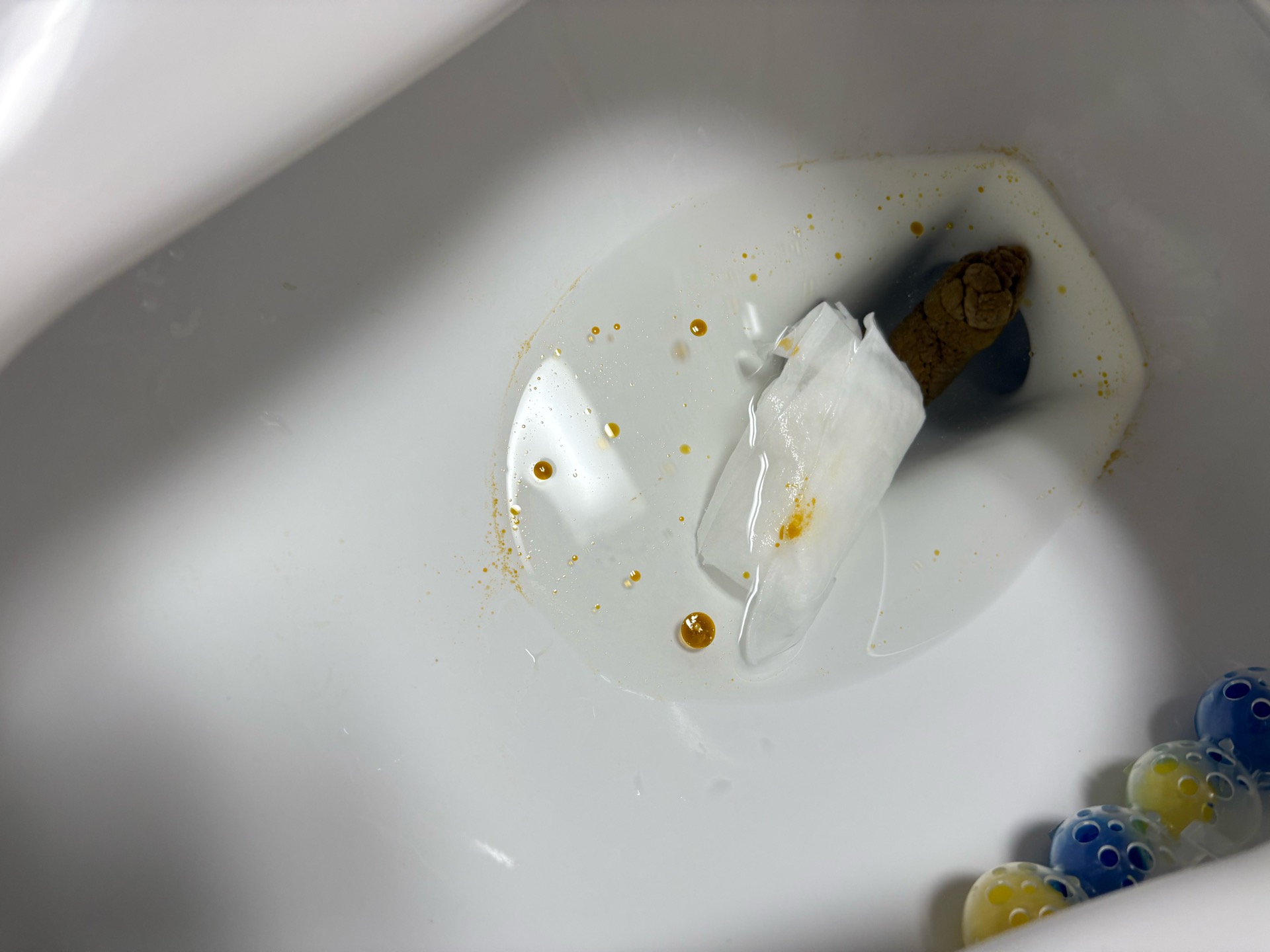 5번 째 사진