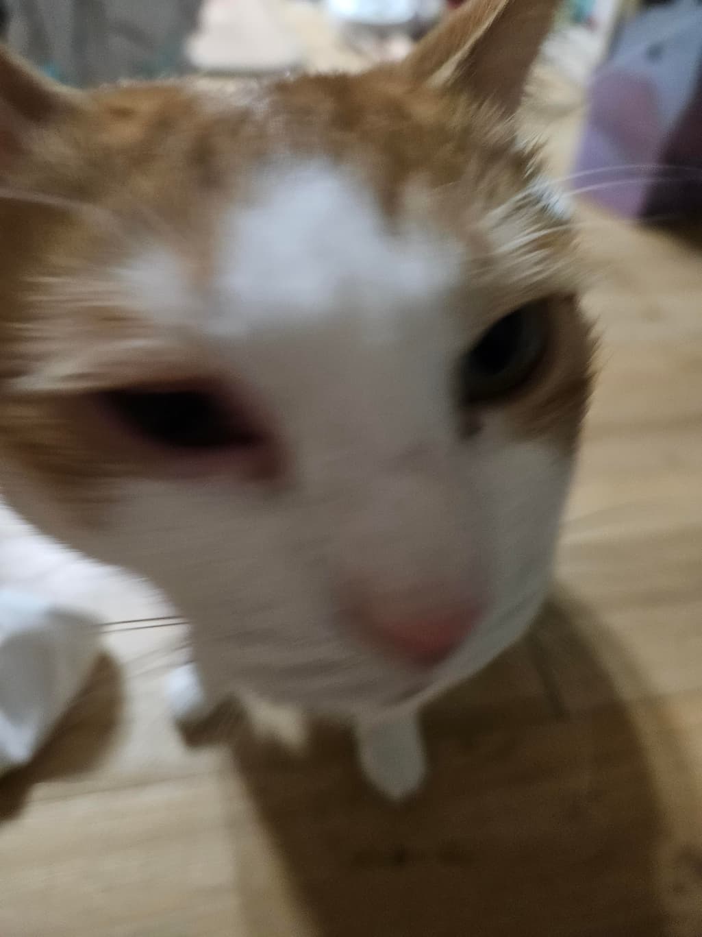2번 째 사진