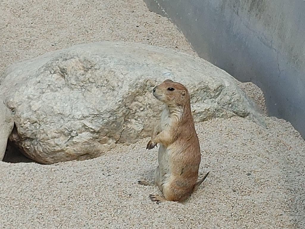 4번 째 사진