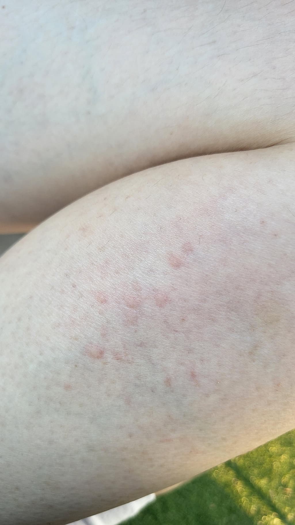 2번 째 사진